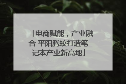 电商赋能，产业融合 平阳腾蛟打造笔记本产业新高地