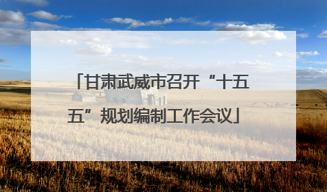 甘肃武威市召开“十五五”规划编制工作会议