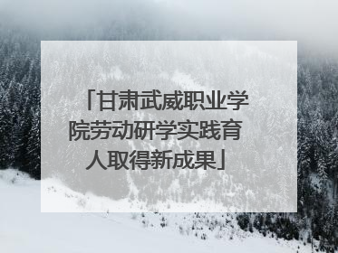 甘肃武威职业学院劳动研学实践育人取得新成果