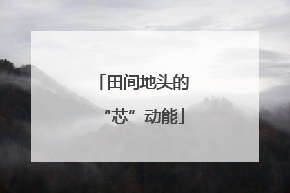 田间地头的“芯”动能