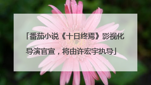 番茄小说《十日终焉》影视化导演官宣，将由许宏宇执导