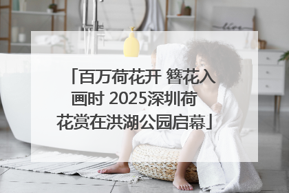 百万荷花开 簪花入画时 2025深圳荷花赏在洪湖公园启幕
