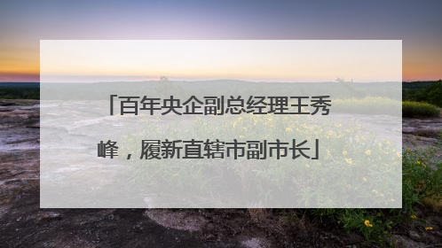 百年央企副总经理王秀峰，履新直辖市副市长