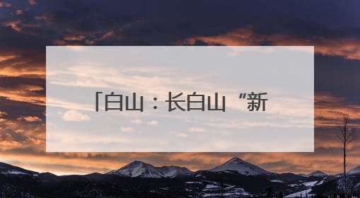 白山：长白山“新三宝”亮相文博会