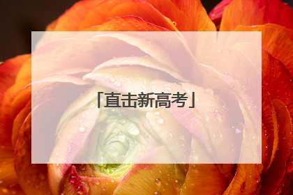 直击新高考
