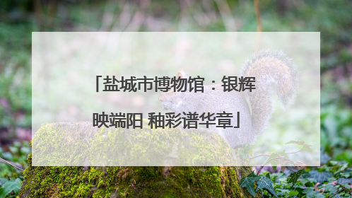 盐城市博物馆：银辉映端阳 釉彩谱华章