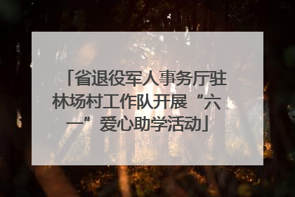 省退役军人事务厅驻林场村工作队开展“六一”爱心助学活动
