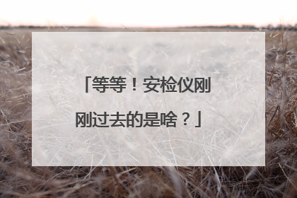 等等！安检仪刚刚过去的是啥？