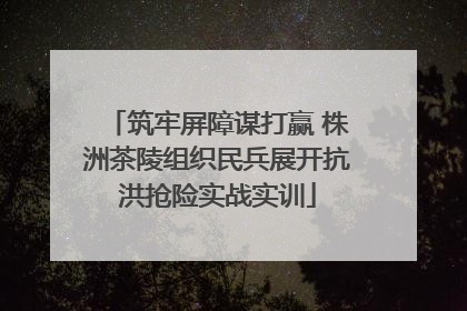 筑牢屏障谋打赢 株洲茶陵组织民兵展开抗洪抢险实战实训