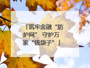 筑牢金融“防护网” 守护万家“钱袋子”
