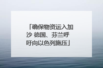 确保物资运入加沙 德国、芬兰呼吁向以色列施压