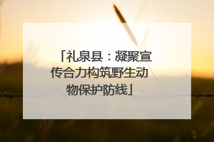 礼泉县：凝聚宣传合力构筑野生动物保护防线