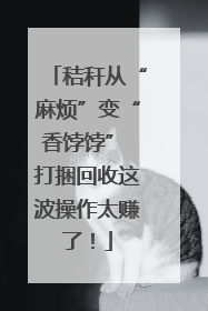 秸秆从“麻烦”变“香饽饽” 打捆回收这波操作太赚了！
