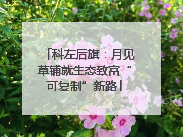 科左后旗：月见草铺就生态致富“可复制”新路