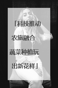 科技推动农旅融合 蔬菜种植玩出新花样