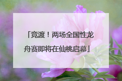 竞渡！两场全国性龙舟赛即将在仙桃启幕
