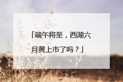 端午将至，西湖六月黄上市了吗？