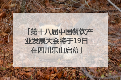 第十八届中国餐饮产业发展大会将于19日在四川乐山启幕