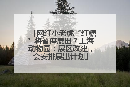 网红小老虎“红糖”将暂停展出？上海动物园：展区改建，会安排展出计划