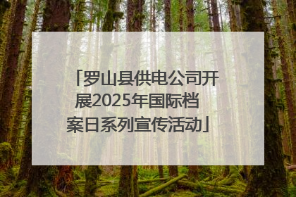 罗山县供电公司开展2025年国际档案日系列宣传活动