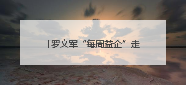 罗文军“每周益企”走访服务：益企走访暖人心 精准服务促发展