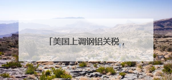 美国上调钢铝关税，欧盟德国最新回应
