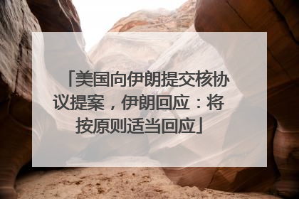 美国向伊朗提交核协议提案，伊朗回应：将按原则适当回应