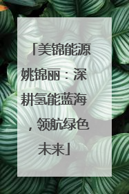 美锦能源姚锦丽：深耕氢能蓝海，领航绿色未来