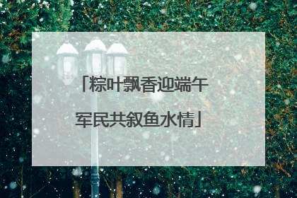 粽叶飘香迎端午 军民共叙鱼水情