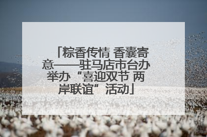 粽香传情 香囊寄意——驻马店市台办举办“喜迎双节 两岸联谊”活动