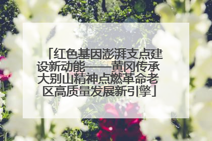 红色基因澎湃支点建设新动能——黄冈传承大别山精神点燃革命老区高质量发展新引擎