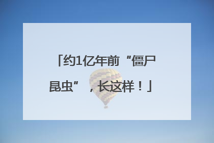 约1亿年前“僵尸昆虫”，长这样！