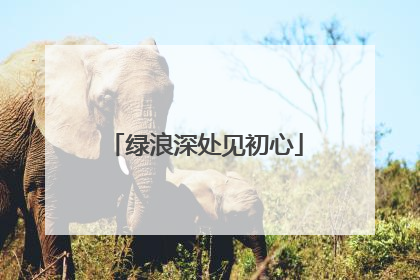 绿浪深处见初心