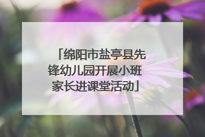 绵阳市盐亭县先锋幼儿园开展小班家长进课堂活动
