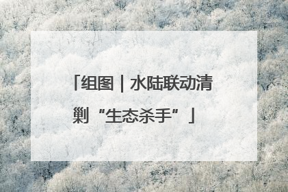组图｜水陆联动清剿“生态杀手”