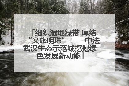 细织湿地绿带 厚结“文旅明珠”——中法武汉生态示范城挖掘绿色发展新动能