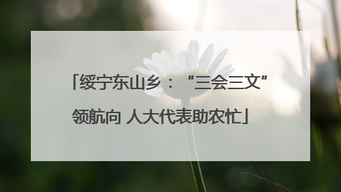 绥宁东山乡：“三会三文”领航向 人大代表助农忙