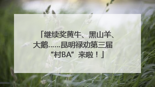 继续奖黄牛、黑山羊、大鹅……昆明禄劝第三届“村BA”来啦！