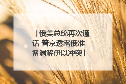 俄美总统再次通话 普京透露俄准备调解伊以冲突