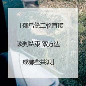 俄乌第二轮直接谈判结束 双方达成哪些共识