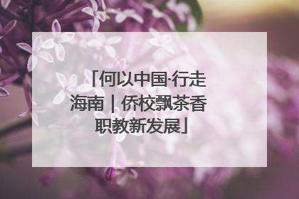 何以中国·行走海南｜侨校飘茶香 职教新发展