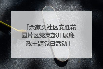 余家头社区安胜花园片区党支部开展廉政主题党日活动