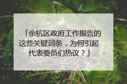 余杭区政府工作报告的这些关键词条，为何引起代表委员们热议？