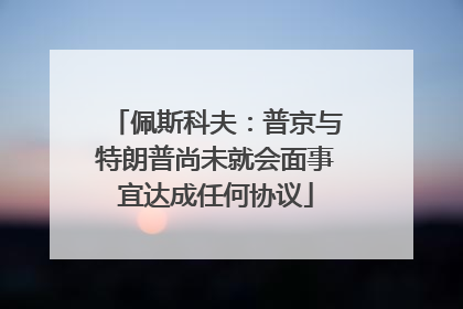 佩斯科夫：普京与特朗普尚未就会面事宜达成任何协议
