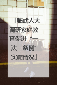 临武人大调研家庭教育促进“一法一条例”实施情况