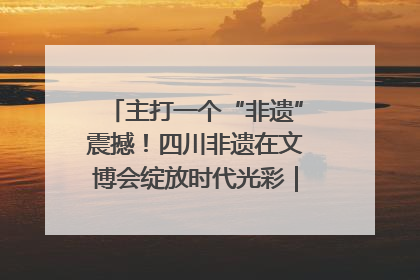 主打一个“非遗”震撼！四川非遗在文博会绽放时代光彩｜文博向“新”