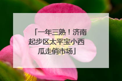 一年三熟！济南起步区太平宝小西瓜走俏市场