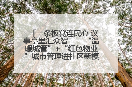 一条板凳连民心 议事亭里汇众智——“温暖城管”+“红色物业”城市管理进社区新模式绘就城市管理社区治理新画卷