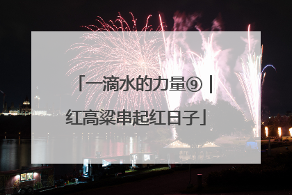一滴水的力量⑨｜红高粱串起红日子