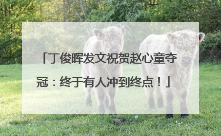 丁俊晖发文祝贺赵心童夺冠：终于有人冲到终点！